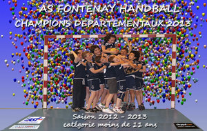 Champions départementaux 2013 !