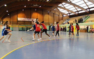 50bb9fcf61cb8_Handball-Fontenay-02-12-272.jpg
