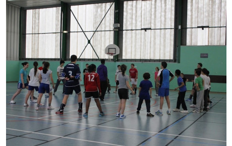 Stages de Handball de la Toussaint